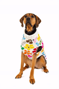 Load image into Gallery viewer, Bloom Dog Sweater
