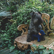 Blue cotton dog gift toy