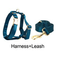 Load image into Gallery viewer, Blue Green Satin Set
