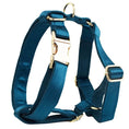 Load image into Gallery viewer, Blue Green Satin Set
