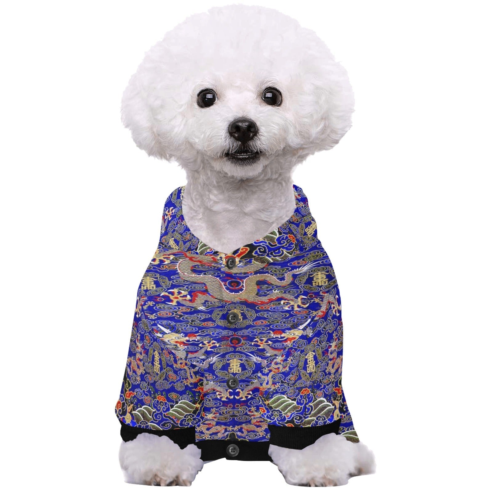 Blue Imperial Dragon Button Hoodie