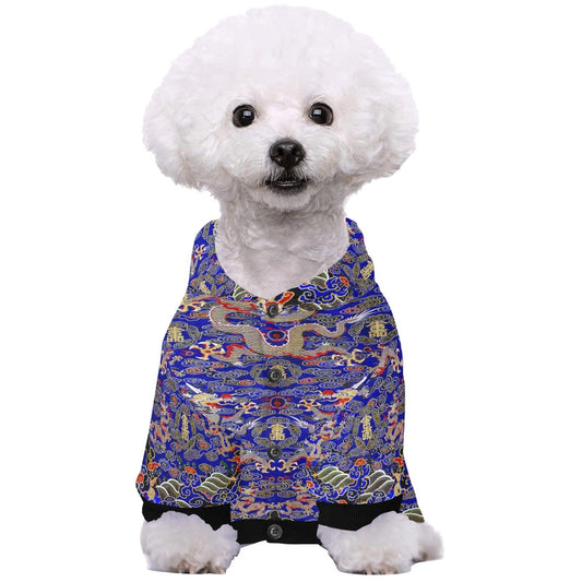 Blue Imperial Dragon Button Hoodie