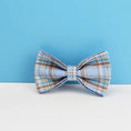 Load image into Gallery viewer, Blue Plaid Set
