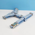 Load image into Gallery viewer, Blue Plaid Set
