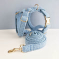 Load image into Gallery viewer, Light Blue Teddy Set
