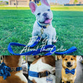 Load image into Gallery viewer, Blue Velvet Set
