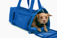 Load image into Gallery viewer, Travel Buddy - Pet Carrier - Southlake Paws
