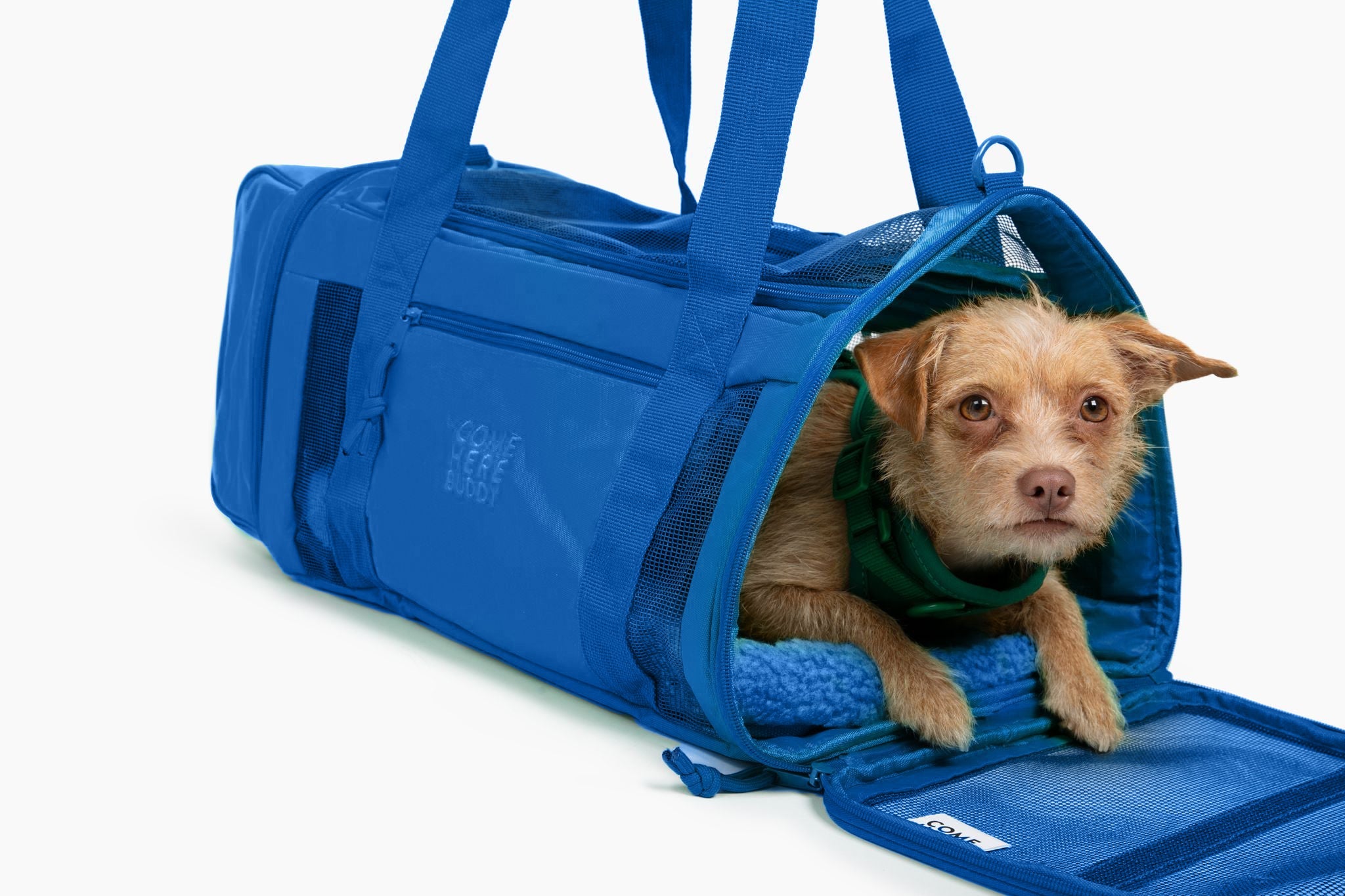 Travel Buddy - Pet Carrier - Southlake Paws