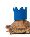 Load image into Gallery viewer, BRIGHT PARTY CROWNS
