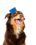 Load image into Gallery viewer, BRIGHT PARTY CROWNS
