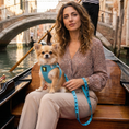 Load image into Gallery viewer, EcoBark Step In Dog Harness - XXXS to Small Breeds- Reflective Soft Mesh Harness for Teacup, Small Dogs and Puppies / Sky Blue

