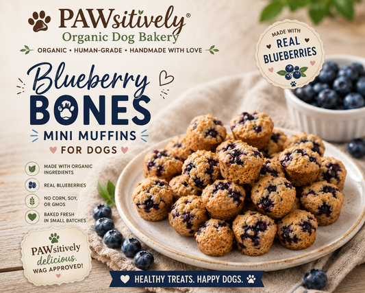 Blueberry Muffins