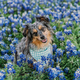 Load image into Gallery viewer, Dorothy's Picnic Dog Bandana
