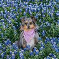 Load image into Gallery viewer, Lovely Lavender Sparks Dog Bandana
