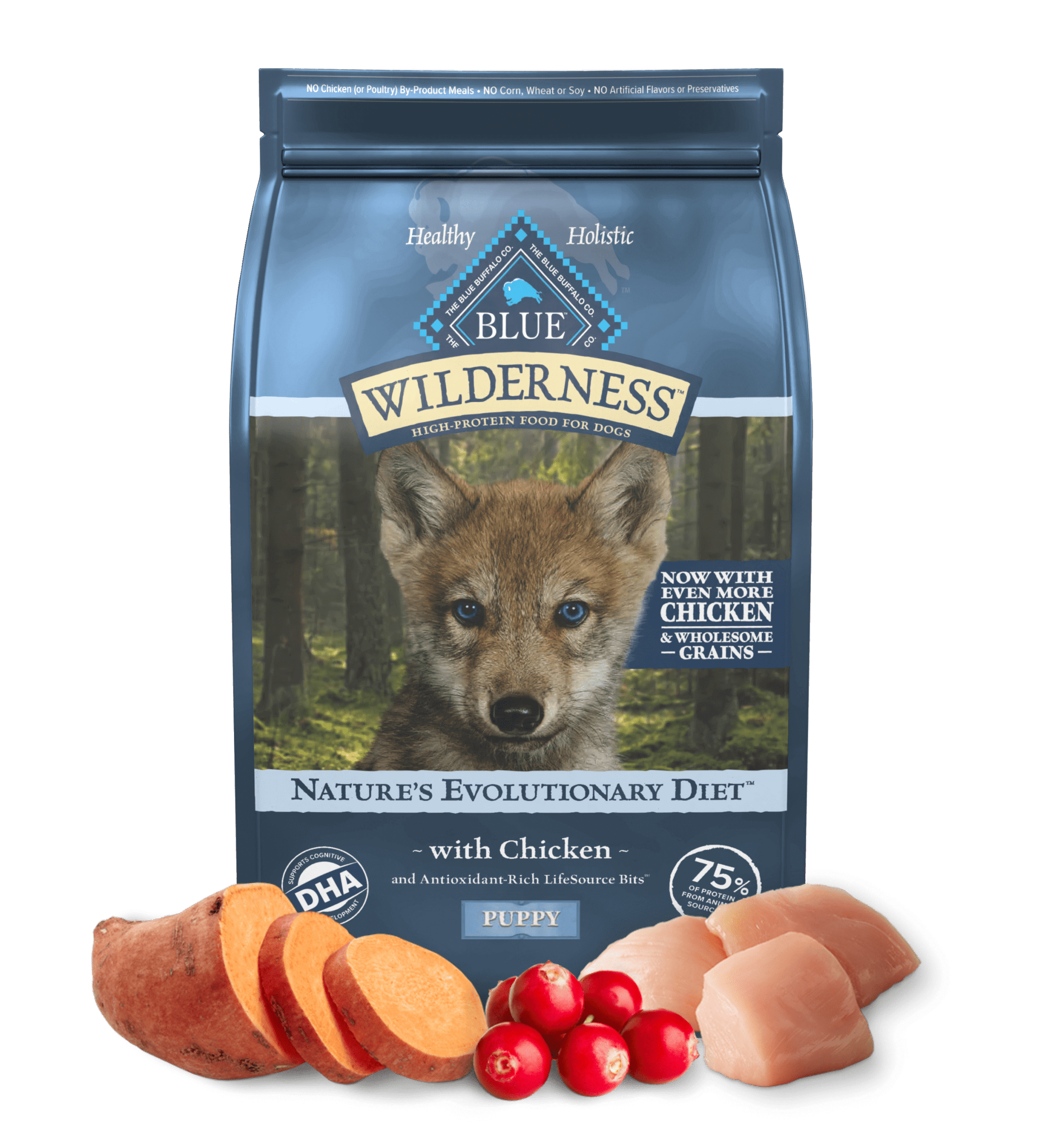 Blue Buffalo Wilderness Puppy Chicken with Wholesome Grains Dry Dog Food 