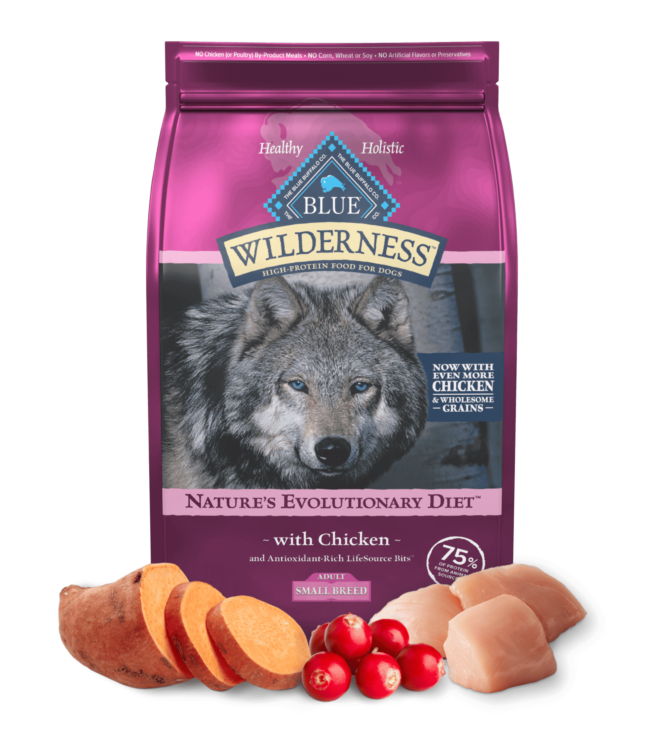 Blue Buffalo Wilderness Adult Small Breed Chicken with Wholesome Grains Dry Dog Food 
