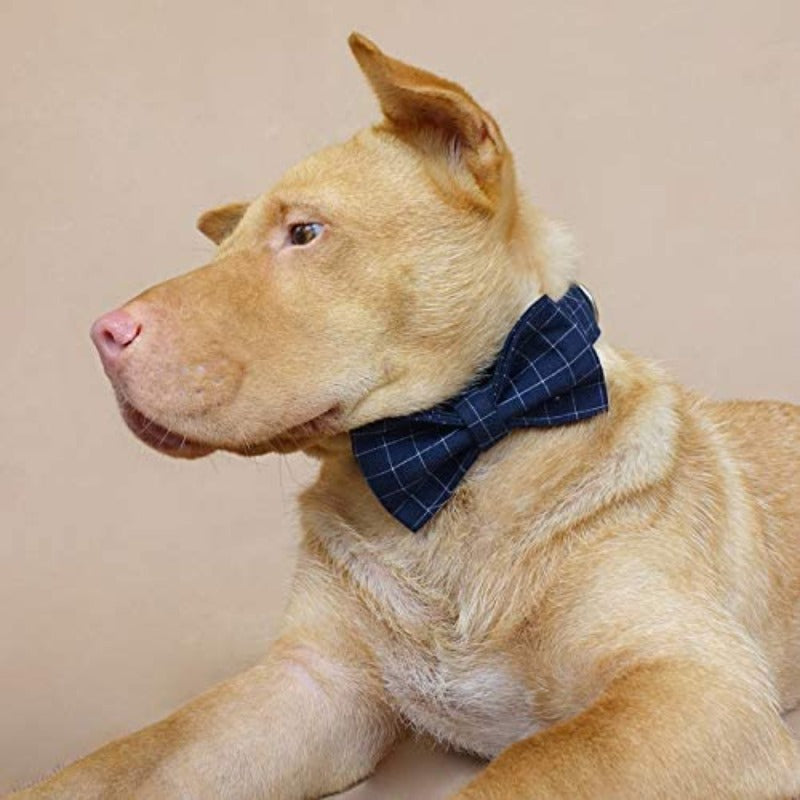 Classic Navy Check Bow Tie Dog Collar & Leash Set | Personalized Free - Southlake Paws