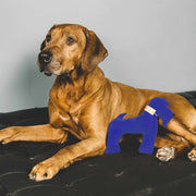 Blue cotton dog gift toy