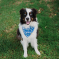 Load image into Gallery viewer, Bluey Boos Dog Bandana
