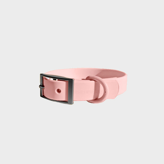 Everyday Collar - Southlake Paws