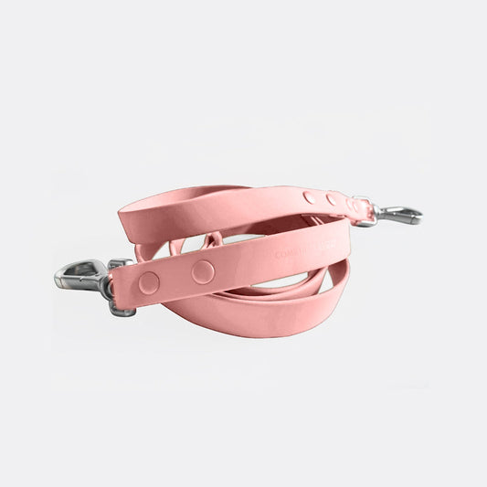 Leash - Southlake Paws