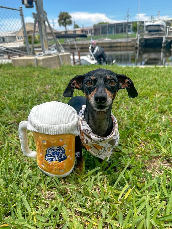 PAWTY BEER PLUSH DOG TOY - Southlake Paws