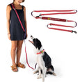Load image into Gallery viewer, Body Glove Beach Walk Handsfree Pet Leash
