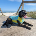 Load image into Gallery viewer, Body Glove Crystal Cool Pet Cooling Shirt
