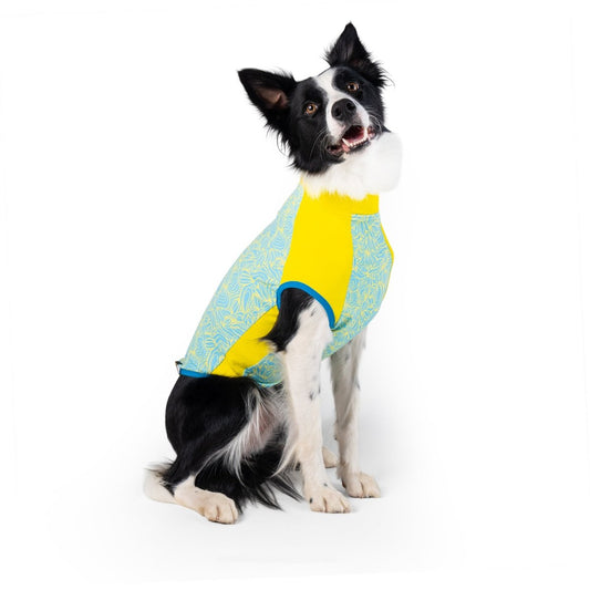 Body Glove Crystal Cool Pet Cooling Shirt