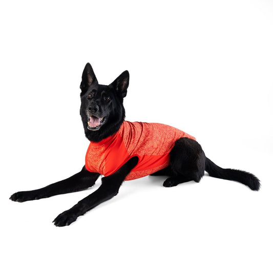 Body Glove Crystal Cool Pet Cooling Shirt