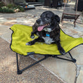 Load image into Gallery viewer, Body Glove Fold & Go Pet Cot
