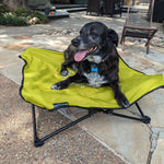 Body Glove Fold & Go Pet Cot