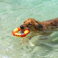 Load image into Gallery viewer, Body Glove Life Ring Dog Toy
