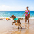 Load image into Gallery viewer, Body Glove Life Ring Dog Toy
