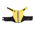 Load image into Gallery viewer, Body Glove Neoprene Pet Life Jacket
