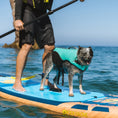 Load image into Gallery viewer, Body Glove Neoprene Pet Life Jacket
