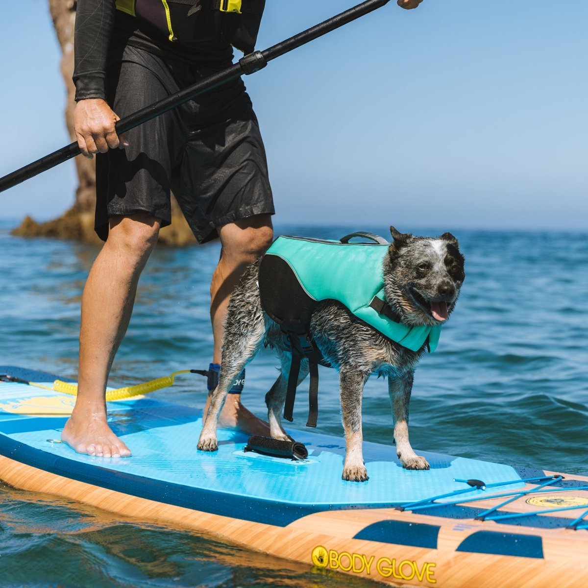 Body Glove Neoprene Pet Life Jacket