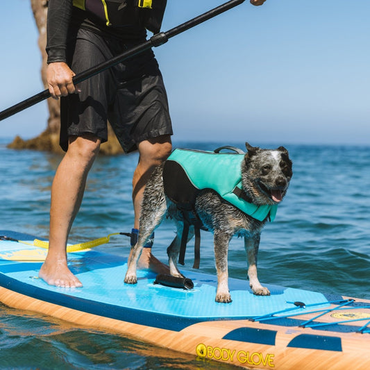 Body Glove Neoprene Pet Life Jacket