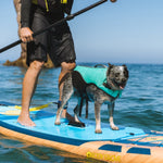 Body Glove Neoprene Pet Life Jacket