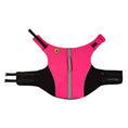 Load image into Gallery viewer, Body Glove Neoprene Pet Life Jacket
