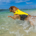 Load image into Gallery viewer, Body Glove Neoprene Pet Life Jacket
