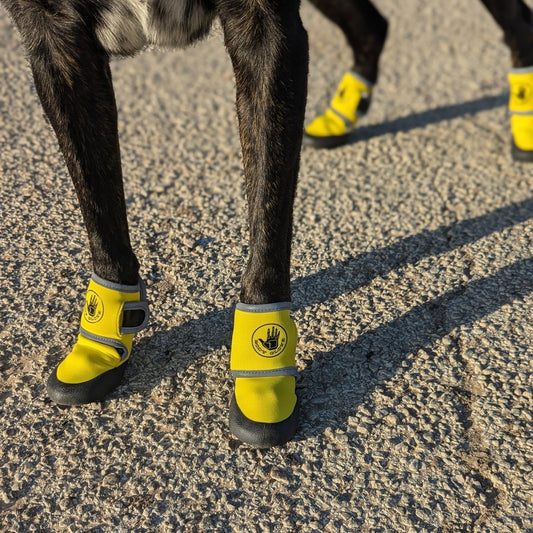 Body Glove Paw Protector Booties
