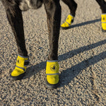 Body Glove Paw Protector Booties