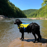 Body Glove Ripstop Pet Life Jacket 