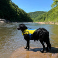 Load image into Gallery viewer, Body Glove Ripstop Pet Life Jacket
