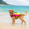 Load image into Gallery viewer, Body Glove Ripstop Pet Life Jacket
