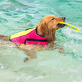 Load image into Gallery viewer, Body Glove Ripstop Pet Life Jacket
