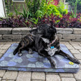 Load image into Gallery viewer, Body Glove Sun & Sand Tough Mat - Washable Dog Bed
