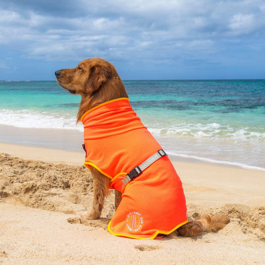Body Glove Surf Pet Towel Robe