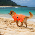 Load image into Gallery viewer, Body Glove Surf Pet Towel Robe
